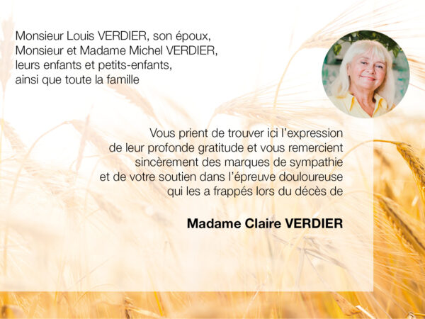 Champ de blé