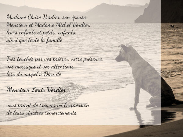 Chien
