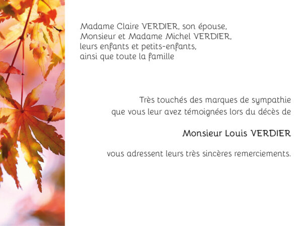 Feuilles d'automne