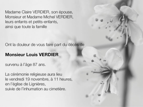 Fleurs de cerisier