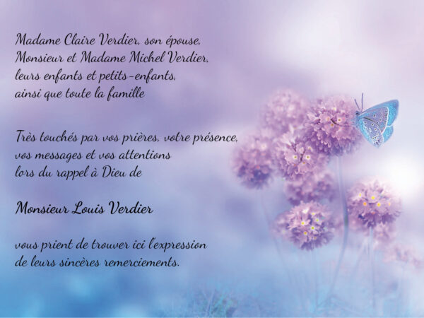 Papillon bleu